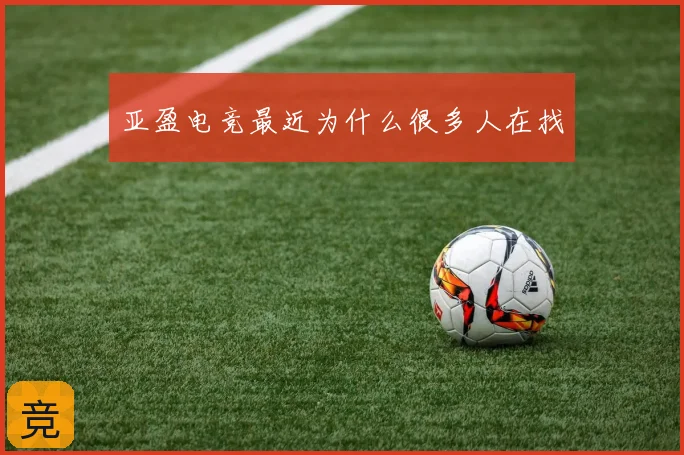 亚盈电竞最近为什么很多人在找